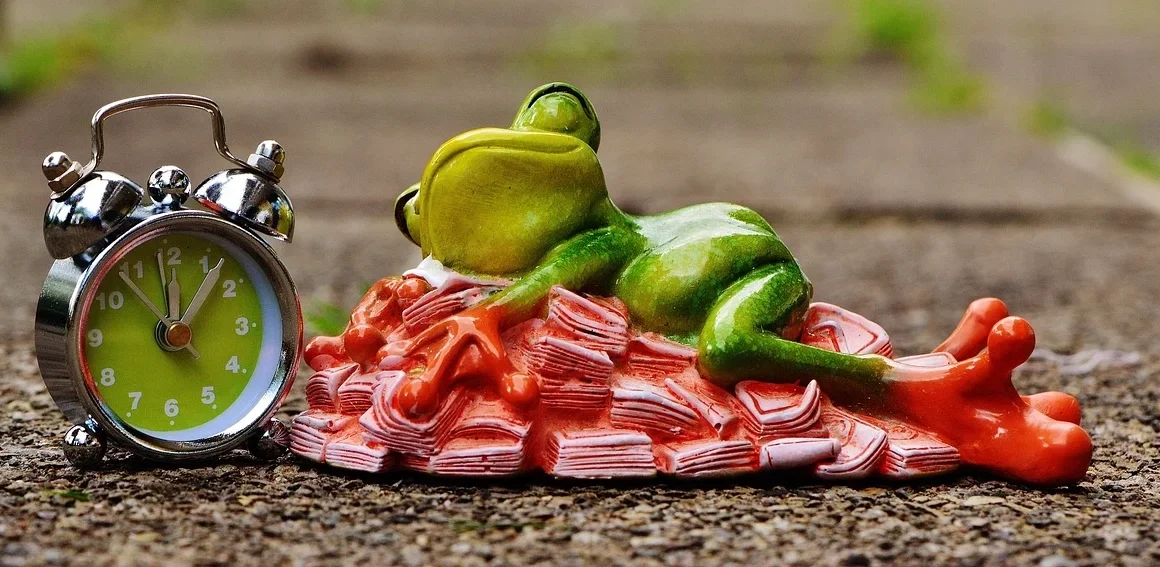 Tesla Stock Analysis 2026: Key Insights on Robotaxis for Investors